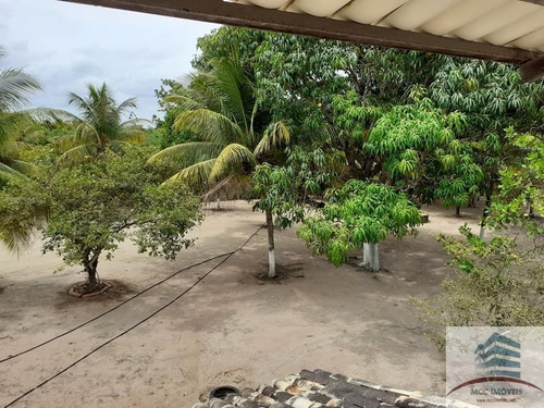 Imagem 18 de 25 de Granja A Venda Em Macaíba