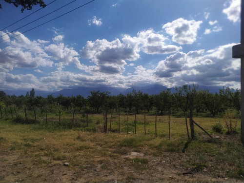 Imagen 3 de 8 de 4.9 Has En Vista Flores