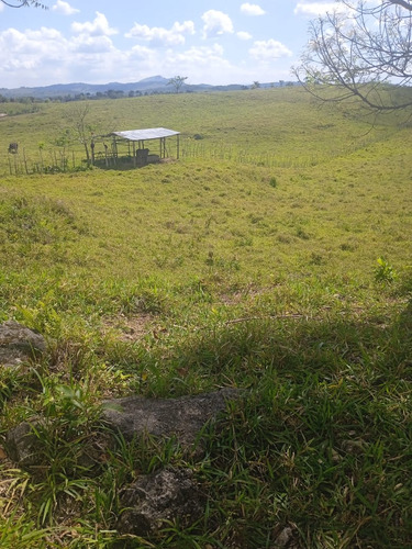 Te Vendo Excelente Finca En Sabana Grande De Boya.