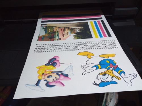 Limpieza De Cabezal Epson L 4160 L 4260 Flores Caba Dtf (Reacondicionado)
