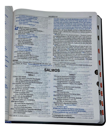 Bíblia Sagrada Slim Large Masculina Com Índice Capa Pu Semi Flexível Bicolor - Azul E Preto - Linguagem De Hoje - Nvi ( Nova Versão Internacional )