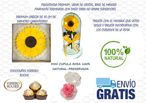 Girasol Preservado/ Inmortalizado + Rosa + Ferrero Roche | Envío gratis