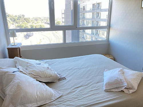 Arriendo Departamento En Concepción