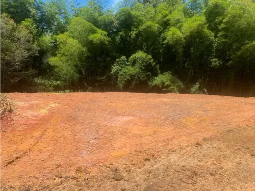 Lindos Lotes En Venta Con Excelente Ubicación En El Carmen De Víboral.