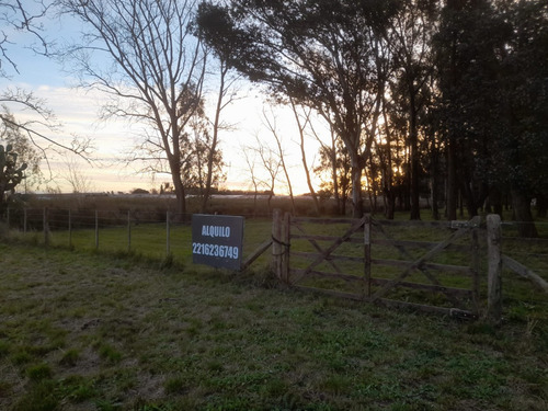Particular Alquila Parcela/lote En Zona Ruta 36 La Plata