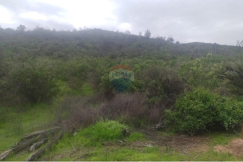 Terreno De 7,104 M2 En Oasis De La Campana