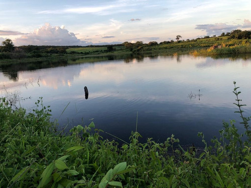 Imagem 17 de 25 de Linda Fazenda Na Bahia!!!!!