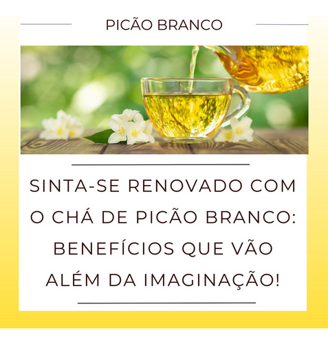 20 Pacotes Picão Branco Chá De Carrapicho | Erva 100% Pura