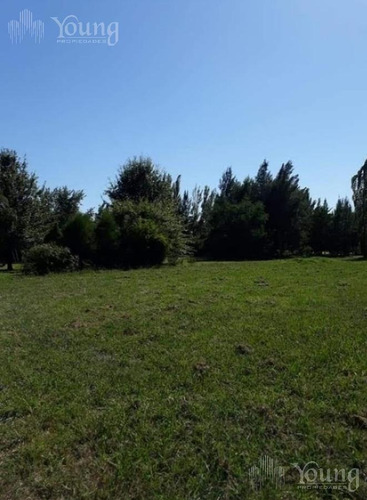 Imagen 12 de 19 de Retazado Terreno Proyecto Aprobado - Campos De Roca L