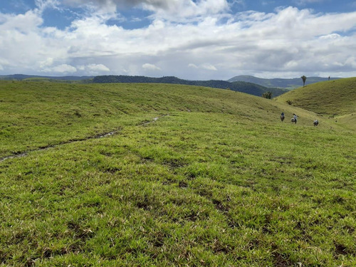 Imagem 1 de 15 de Fazenda Para Venda Em União Dos Palmares, Zona Rural - In - 0010_1-2015625