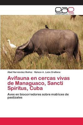 Libro Avifauna En Cercas Vivas De Managuaco, Sancti Spiri...