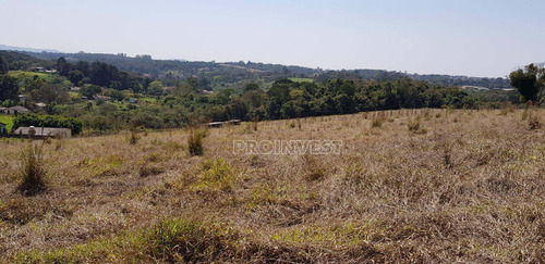 Imagem 7 de 15 de Terreno À Venda, 20000 M² Por R$ 1.600.000,00 - Água Espraiada (caucaia Do Alto) - Cotia/sp - Te9001