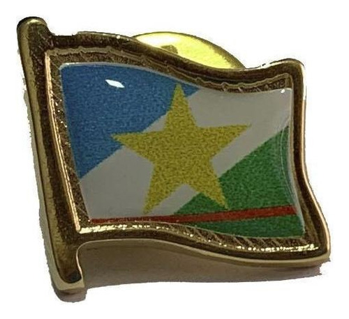 Pin Da Bandeira De Roraima