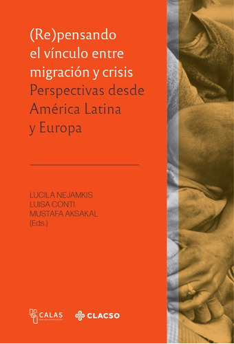 (re)pensando El Vinculo Entre Migracion Y Crisis - Lucila Ne
