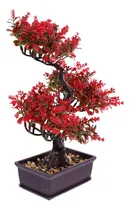 Comprar Planta De Bonsái Artificial Hemoton Planta Artificial Bonsái