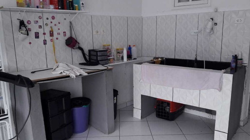 Imagem 3 de 4 de Vendo Pet Shop