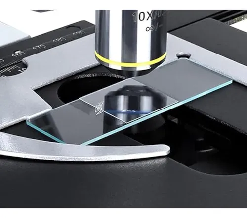 Portaobjetos Y Cubreobjetos De Microscopio En Blanco, 50