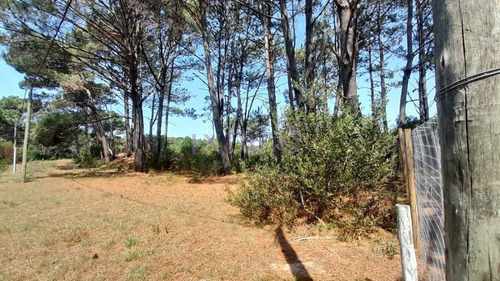 Imagen 10 de 16 de Venta De Lote En Barra Verde, La Barra, Uruguay - La Barra Barra Verde