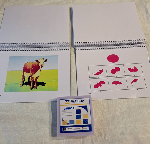 Test Wais Iv + Set De Cubos Kohs De Regalo!!