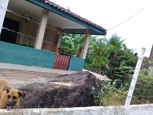 Imagem 1 de 15 de Chácara Para Venda Em Itariri, Igrejinha, 2 Dormitórios, 2 Banheiros, 6 Vagas - 239_2-841487