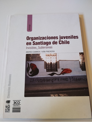 Organizaciones Juveniles En Santiago De Chile 