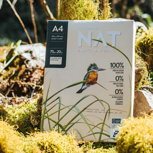 Papel A4 75 Gramos Ledesma Nat Papel Natural 100 Hojas