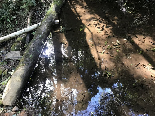 Chácara A Venda No Bairro Centro Em Bocaiúva Do Sul - Pr. - 470-1