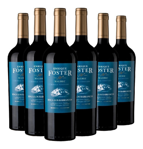 Vino Foster Single Vineyard Los Barrancos Caja 6x750ml