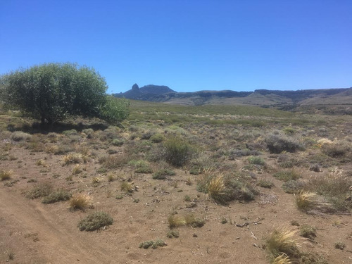 Imagen 5 de 8 de Lote En Huechulafquen Cercano A Ruta