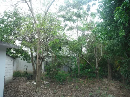 2 Casas, Calle Privada, Terreno 1,250 M2, 72 Y 36 M2 Centro