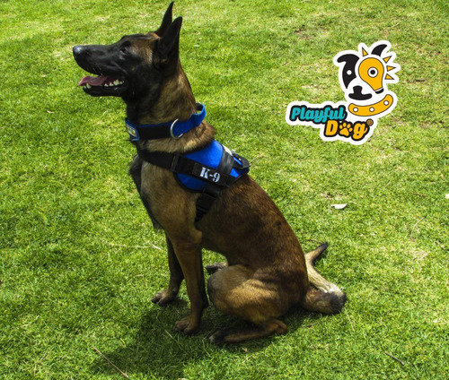 Arnés K9/soporte Emocional Perro (raza Mediana)(sin Parche)