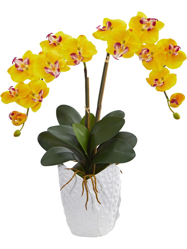 Arreglo Artificial De Orquídea Phalaenopsis Doble Casi Natur