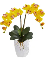 Comprar Arreglo Artificial De Orquídea Phalaenopsis Doble Casi En De