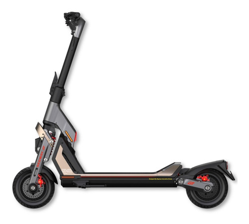 Monopatin Electrico Segway Ninebot Gt2 Pilar