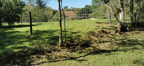 Imagen 5 de 22 de Terreno - Cuauhtémoc