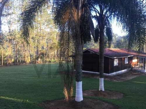 Imagem 3 de 30 de Linda Chácara Rica Em Água, Com Lago, Riacho E Nascente Própria. Propriedade Registrada. - 91 - 69900519
