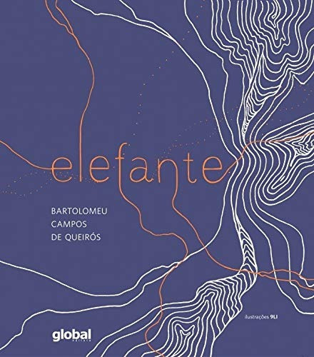 Elefante, de Queirós, Bartolomeu Campos de. Editora Grupo Editorial Global, capa mole em português, 2017