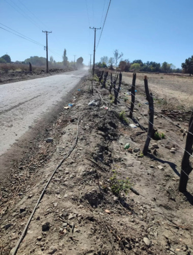 Imagen 12 de 13 de Agrícola En Venta En Chillán