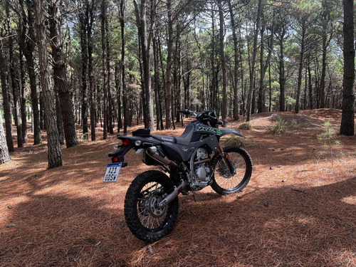 Kawasaki Klx 300 L