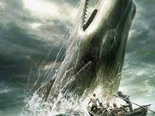 Moby Dick - Herman Melville - Tapa Dura