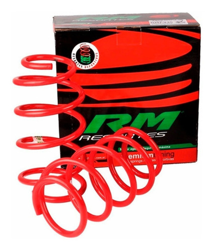 Kit 2 Resortes Traseros Rally Rm Audi A3 1998 A 2002