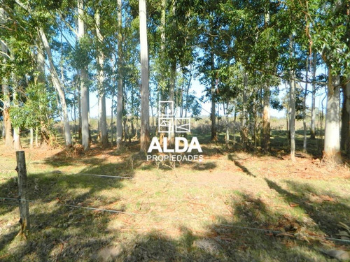 Imagen 7 de 12 de Terreno Barra Portezuelo Piriápolis Venta Te201156