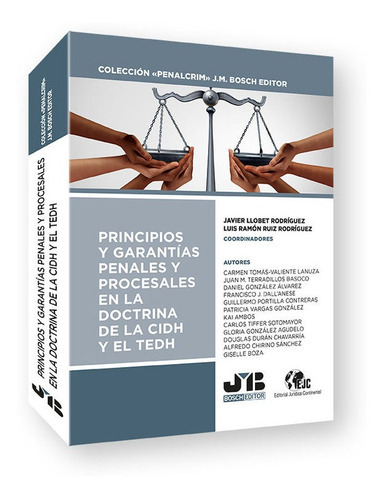 PRINCIPIOS Y GARANTIAS PENALES Y PROCESALES EN LA DOCTRINA D, de TOMAS-VALIENTE LANUZA, CARMEN. Editorial J.M. Bosch Editor, tapa blanda en español