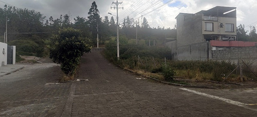 Imagen 12 de 13 de Terreno Urbanizacion El Manantial