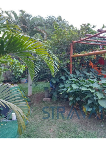 Imagem 11 de 19 de Chacara - Ch00091 - 69547603