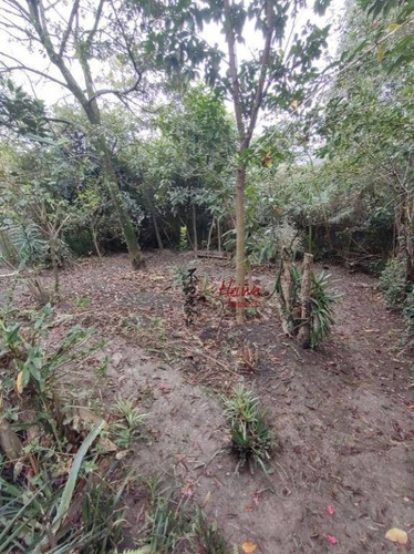 Imagem 7 de 30 de Chácara Com 3 Dormitórios À Venda, 1020 M² Por R$ 1.200.000,00 - Três Montanhas - Osasco/sp - Ch0019