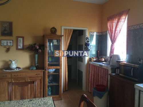 Imagen 15 de 30 de Chacra 5 Has En Muy Cerca De Punta Ballena A Pocos Km De La Ruta 9 Y De La Ruta 12 Cuenta Con Muy Buena Casa. Consulte!!!!!!!