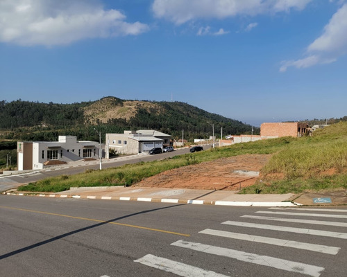 Imagem 3 de 4 de Terreno Comercial - Te01022 - 33415522