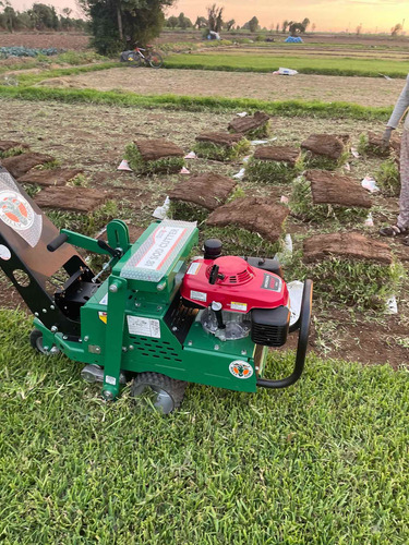 Imagen 16 de 19 de Sod Cutter Saca Champas Tepes Champeadora Cosechadora Grass