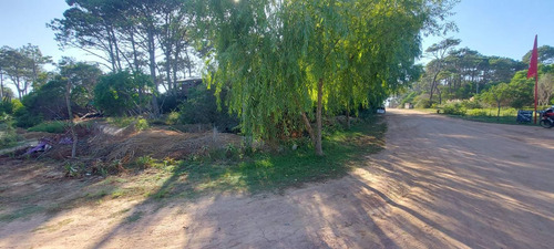 Imagen 2 de 13 de Terreno En Venta Sobre Avenida Central P. D Diablo
